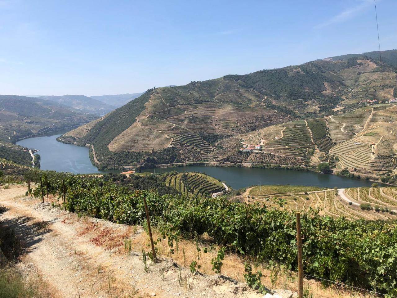 Quinta Da Casa Cimeira, Guest House, Wines & Food Valença do Douro Kültér fotó