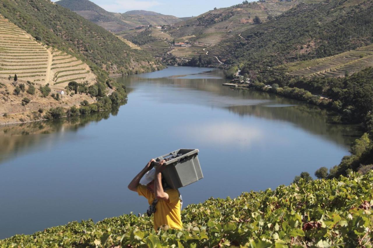 Quinta Da Casa Cimeira, Guest House, Wines & Food Valença do Douro Kültér fotó
